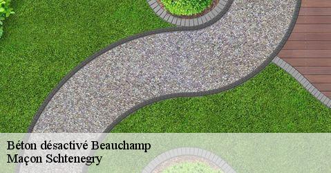 Béton désactivé  95250