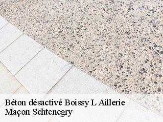 Béton désactivé  95650