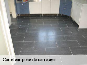 Carreleur pose de carrelage  95710