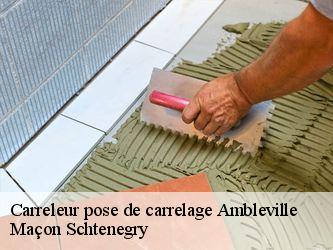 Carreleur pose de carrelage  95710