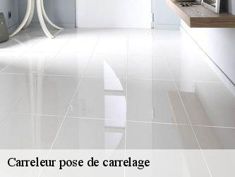 Carreleur pose de carrelage  95710