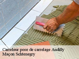 Carreleur pose de carrelage  95580