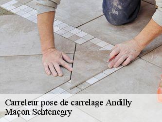 Carreleur pose de carrelage  95580