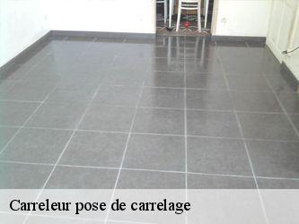 Carreleur pose de carrelage  95100