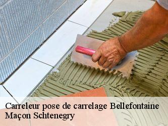 Carreleur pose de carrelage  95270