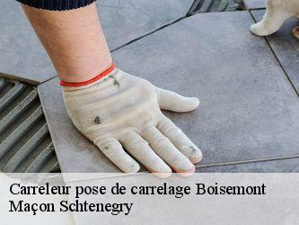 Carreleur pose de carrelage  95000