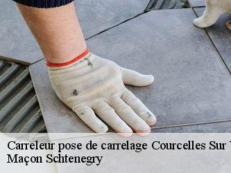 Carreleur pose de carrelage  95650