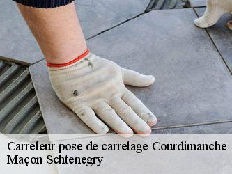Carreleur pose de carrelage  95800