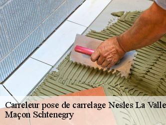 Carreleur pose de carrelage  95690